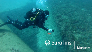 Eurofins Munuera trabajos Buceo Científico en Baleares 