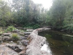 presa río Furelos