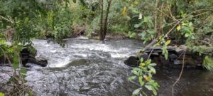 presa río Furelos