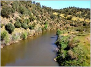 seguimiento aguas continentales Guadiana