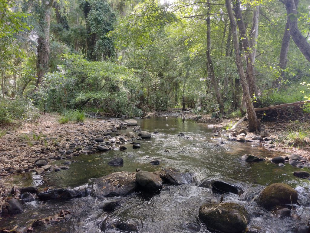 control de elementos biológicos e hidromorfológicos en aguas continentales en Andalucía