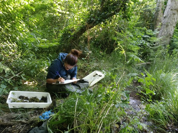 trabajo campo medioambiente