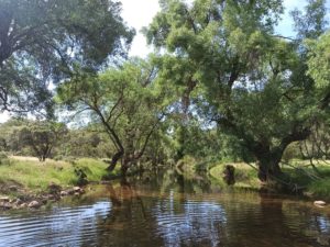 Metacomunidades acuáticas y cambio climático